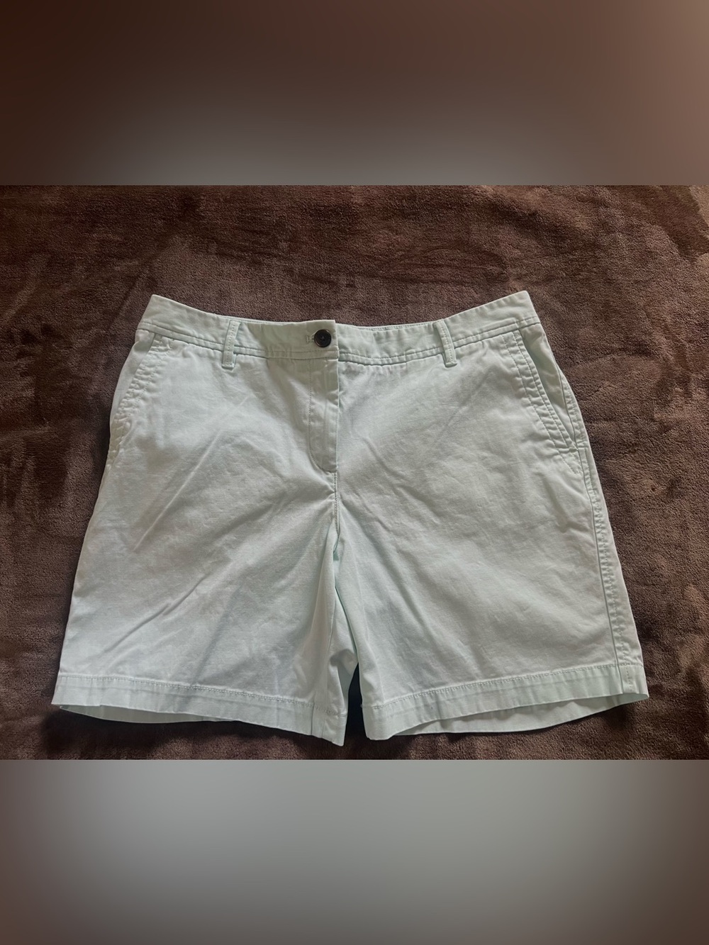 Talbots Light Mint Cotton Relaxed Chino Shorts